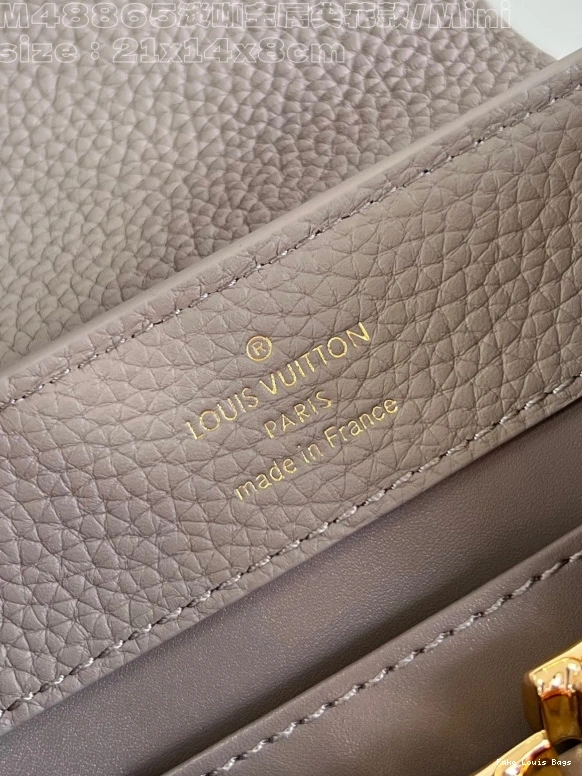Repladies LOUIS CAPUCINES MINI-21*14*8CM VUITTON 0729